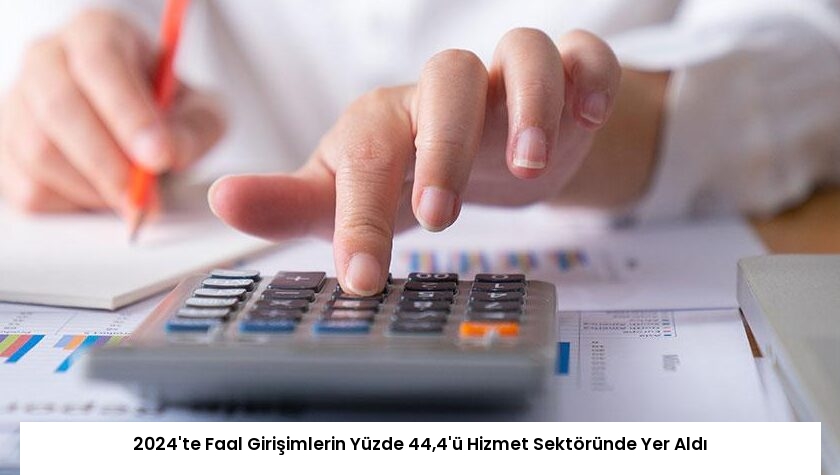 2024’te Faal Girişimlerin Yüzde 44,4’ü Hizmet Sektöründe Yer Aldı