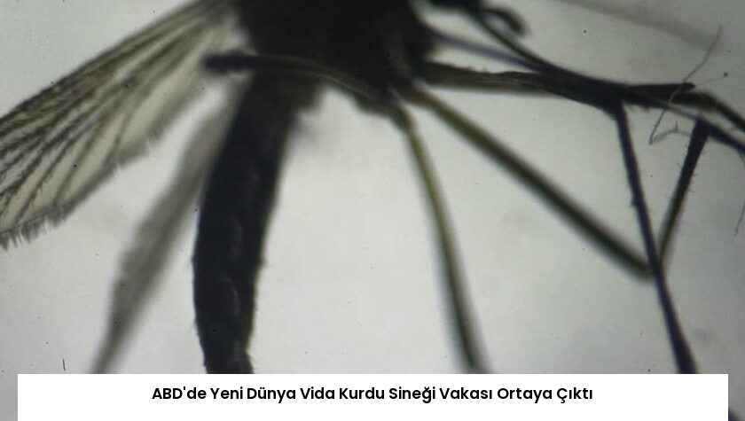 ABD’de Yeni Dünya Vida Kurdu Sineği Vakası Ortaya Çıktı
