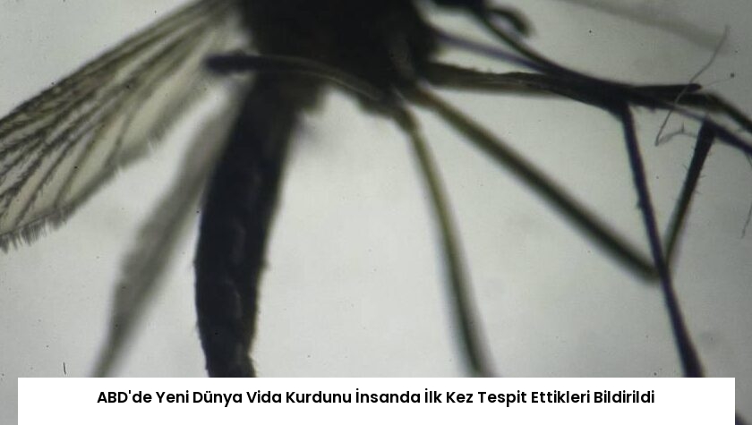 ABD’de Yeni Dünya Vida Kurdunu İnsanda İlk Kez Tespit Ettikleri Bildirildi