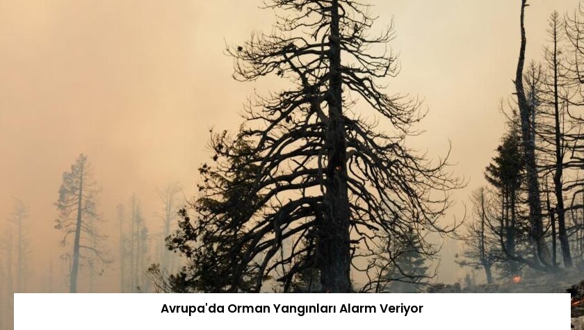 Avrupa’da Orman Yangınları Alarm Veriyor