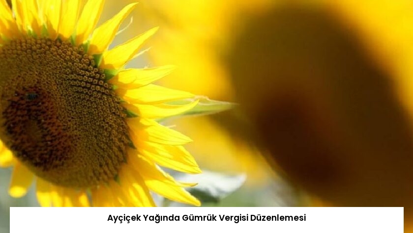 Ayçiçek Yağında Gümrük Vergisi Düzenlemesi