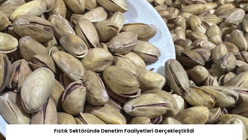 Fıstık Sektöründe Denetim Faaliyetleri Gerçekleştirildi