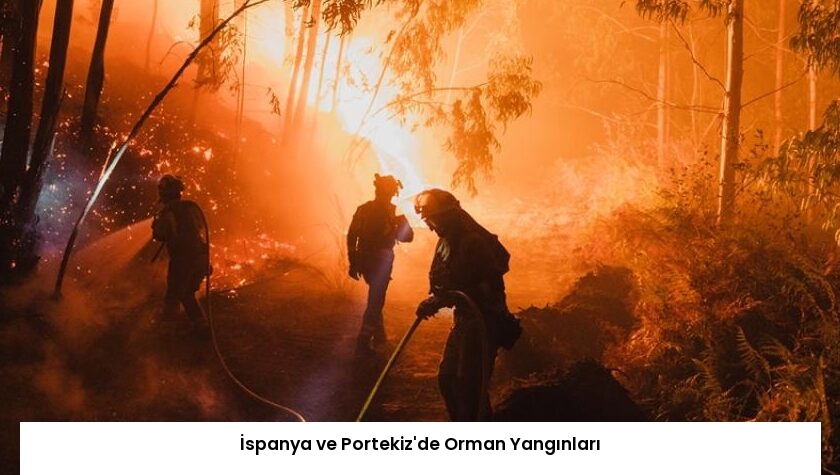 İspanya ve Portekiz’de Orman Yangınları