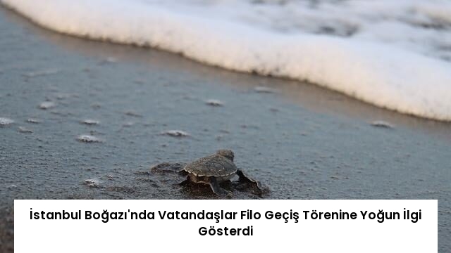 İstanbul Boğazı’nda Vatandaşlar Filo Geçiş Törenine Yoğun İlgi Gösterdi