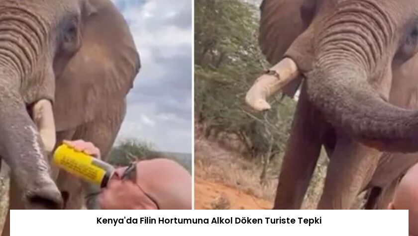 Kenya’da Filin Hortumuna Alkol Döken Turiste Tepki