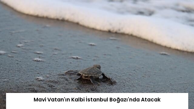 Mavi Vatan’ın Kalbi İstanbul Boğazı’nda Atacak