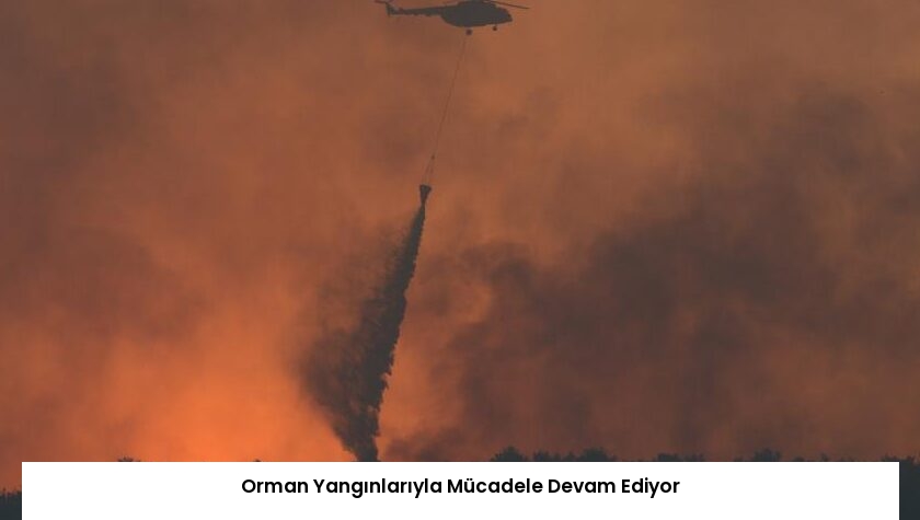 Orman Yangınlarıyla Mücadele Devam Ediyor