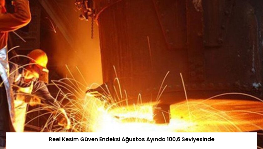 Reel Kesim Güven Endeksi Ağustos Ayında 100,6 Seviyesinde