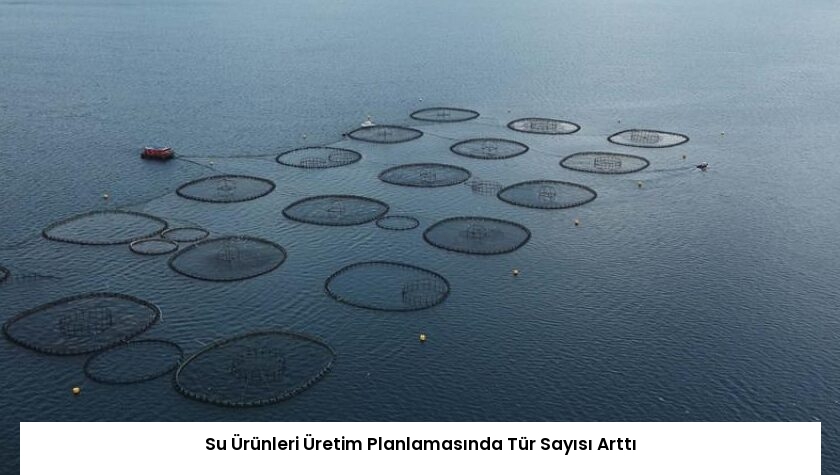 Su Ürünleri Üretim Planlamasında Tür Sayısı Arttı