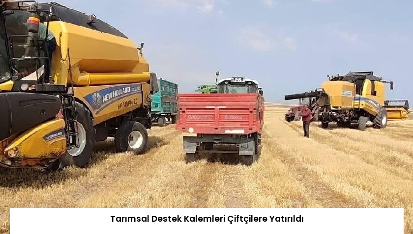 Tarımsal Destek Kalemleri Çiftçilere Yatırıldı