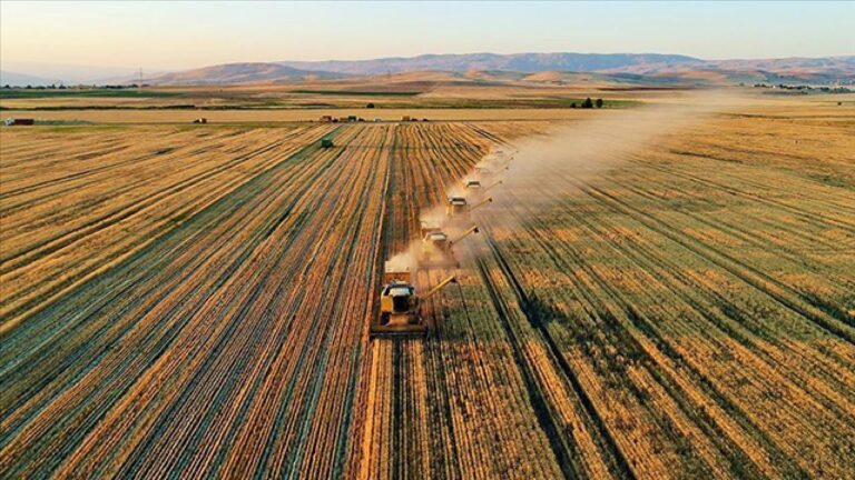 Tarımsal Destek Ödemeleri Çiftçilere Yatırıldı