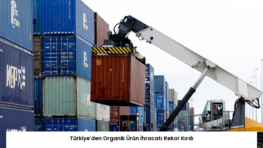 Türkiye’den Organik Ürün İhracatı Rekor Kırdı