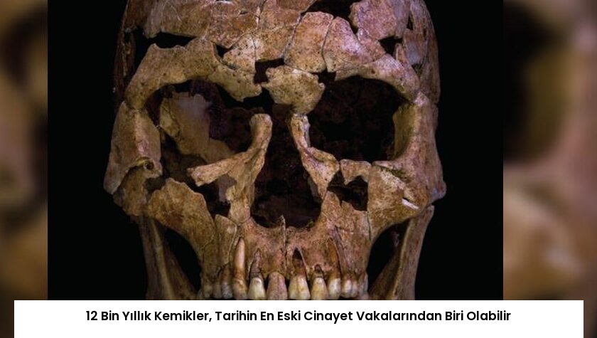12 Bin Yıllık Kemikler, Tarihin En Eski Cinayet Vakalarından Biri Olabilir