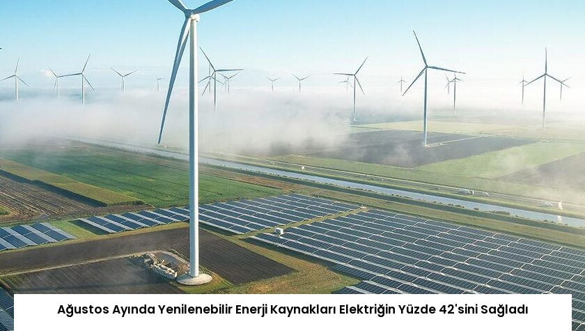 Ağustos Ayında Yenilenebilir Enerji Kaynakları Elektriğin Yüzde 42’sini Sağladı