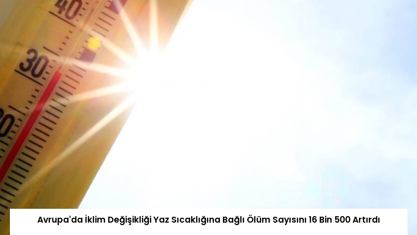 Avrupa’da İklim Değişikliği Yaz Sıcaklığına Bağlı Ölüm Sayısını 16 Bin 500 Artırdı