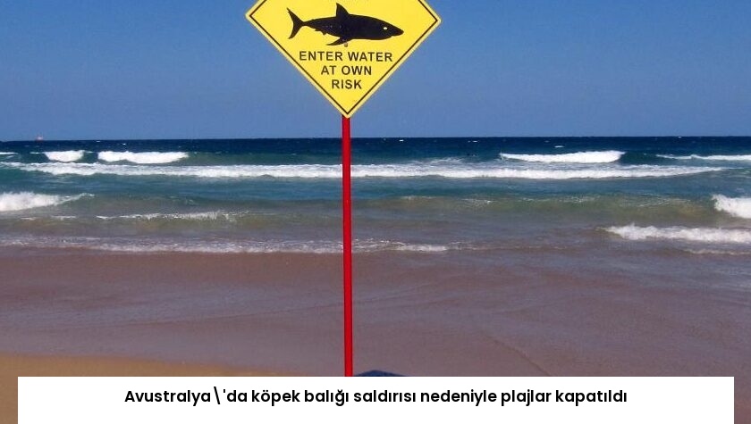 Avustralya’da köpek balığı saldırısı nedeniyle plajlar kapatıldı