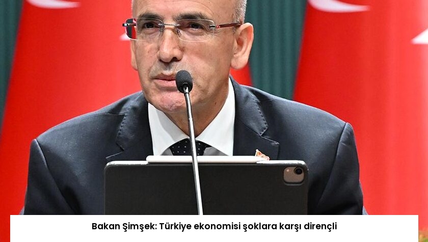Bakan Şimşek: Türkiye ekonomisi şoklara karşı dirençli