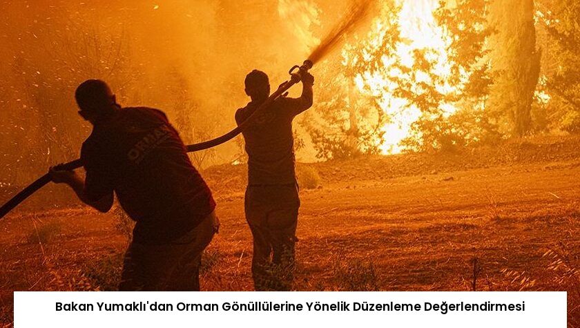 Bakan Yumaklı’dan Orman Gönüllülerine Yönelik Düzenleme Değerlendirmesi
