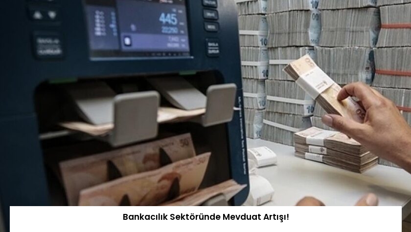 Bankacılık Sektöründe Mevduat Artışı!