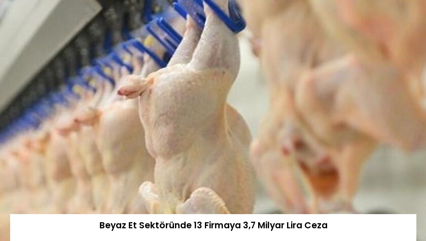 Beyaz Et Sektöründe 13 Firmaya 3,7 Milyar Lira Ceza