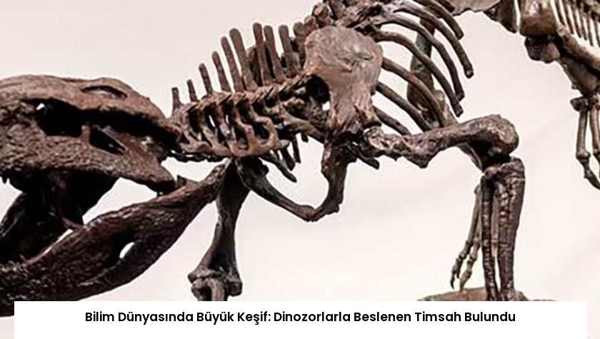 Bilim Dünyasında Büyük Keşif: Dinozorlarla Beslenen Timsah Bulundu