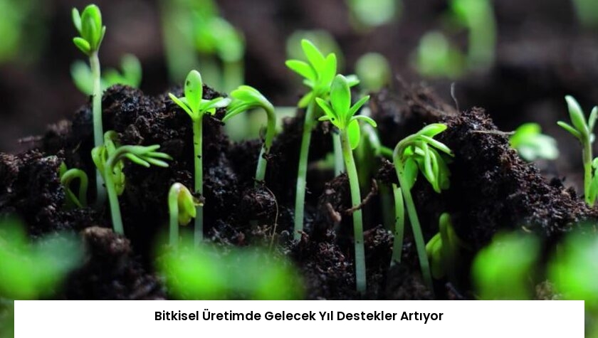 Bitkisel Üretimde Gelecek Yıl Destekler Artıyor
