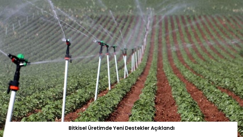 Bitkisel Üretimde Yeni Destekler Açıklandı