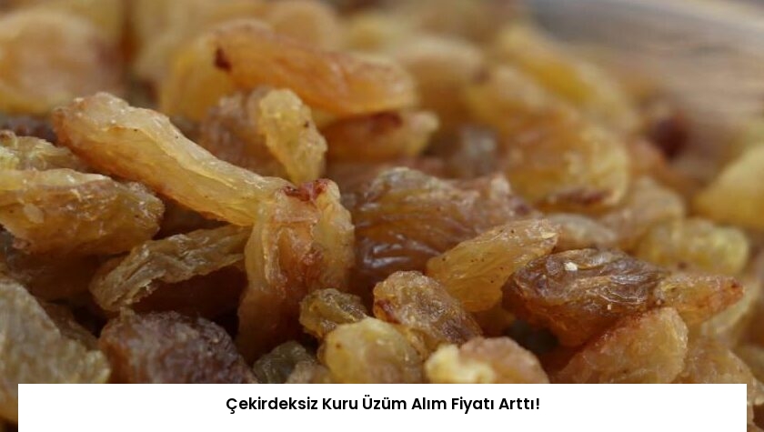 Çekirdeksiz Kuru Üzüm Alım Fiyatı Arttı!