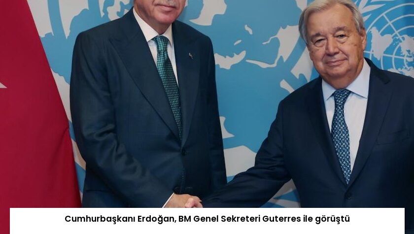 Cumhurbaşkanı Erdoğan, BM Genel Sekreteri Guterres ile görüştü