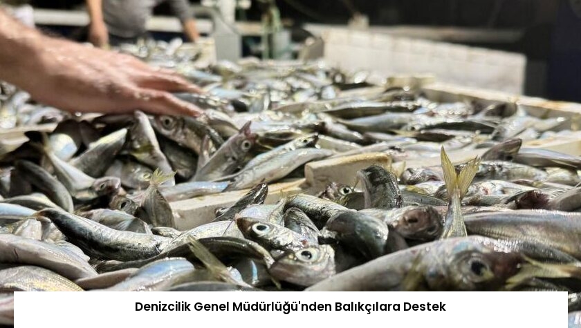 Denizcilik Genel Müdürlüğü’nden Balıkçılara Destek
