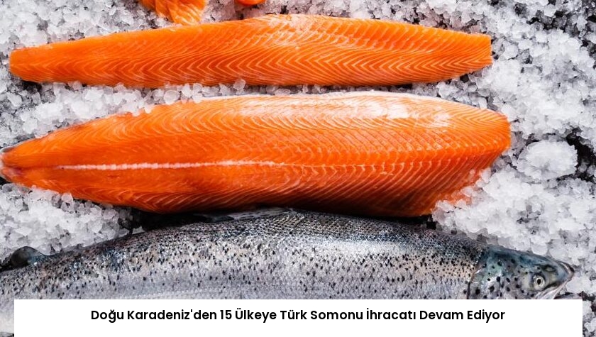 Doğu Karadeniz’den 15 Ülkeye Türk Somonu İhracatı Devam Ediyor