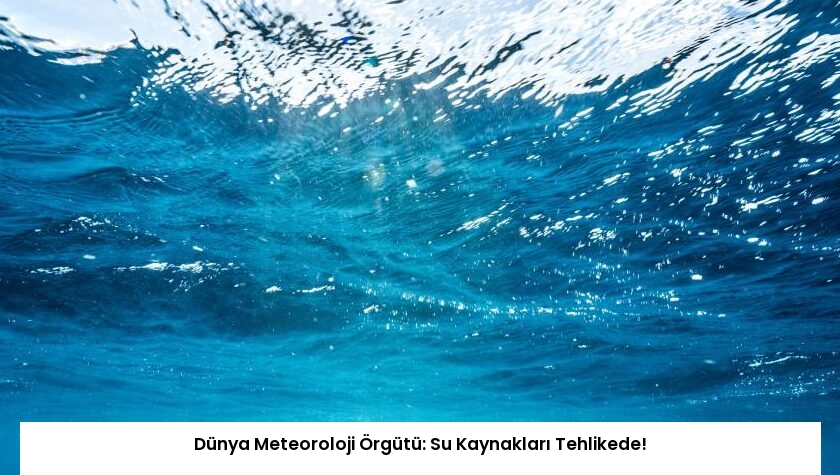 Dünya Meteoroloji Örgütü: Su Kaynakları Tehlikede!