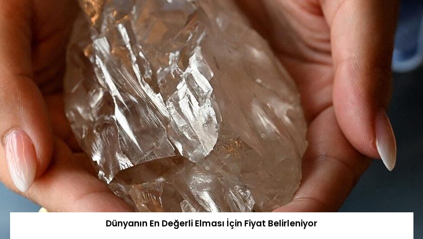 Dünyanın En Değerli Elması İçin Fiyat Belirleniyor