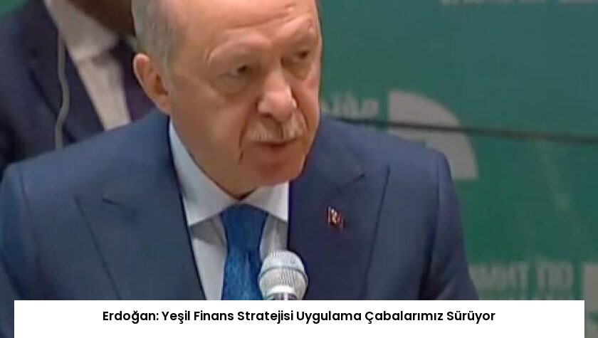 Erdoğan: Yeşil Finans Stratejisi Uygulama Çabalarımız Sürüyor