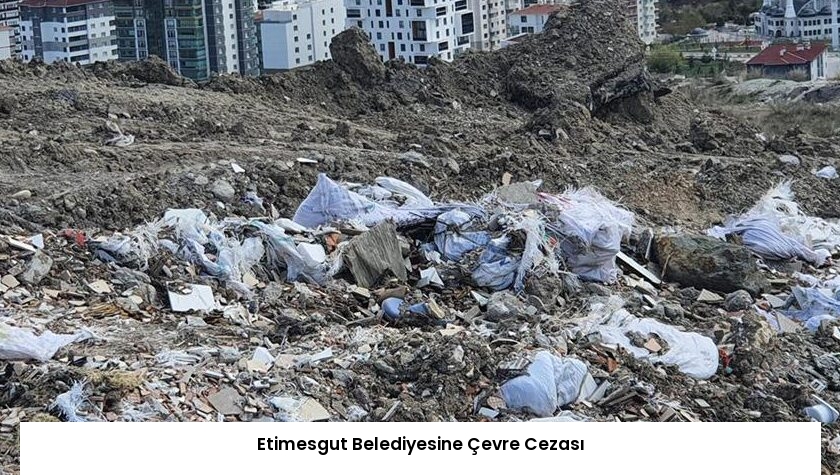 Etimesgut Belediyesine Çevre Cezası