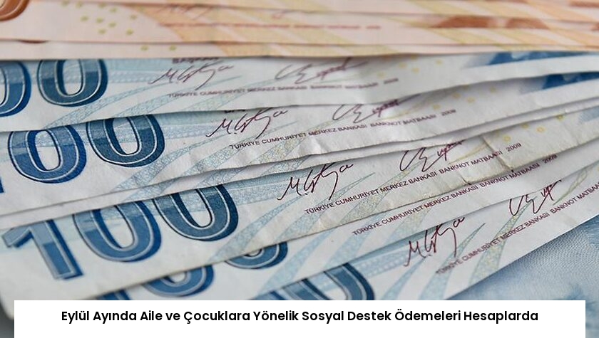 Eylül Ayında Aile ve Çocuklara Yönelik Sosyal Destek Ödemeleri Hesaplarda