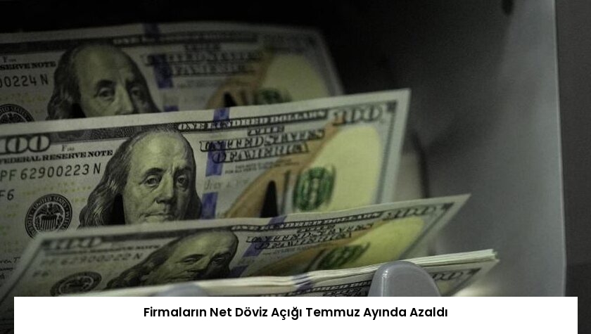 Firmaların Net Döviz Açığı Temmuz Ayında Azaldı