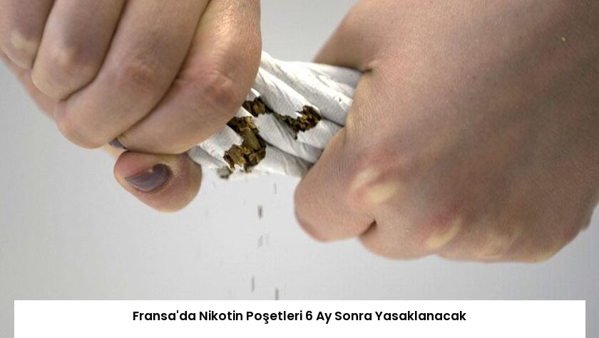 Fransa’da Nikotin Poşetleri 6 Ay Sonra Yasaklanacak