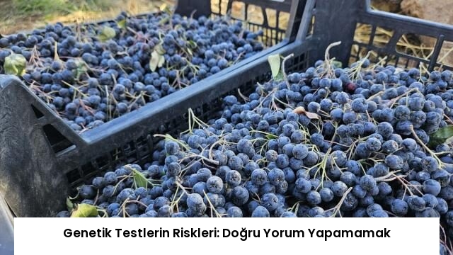Genetik Testlerin Riskleri: Doğru Yorum Yapamamak