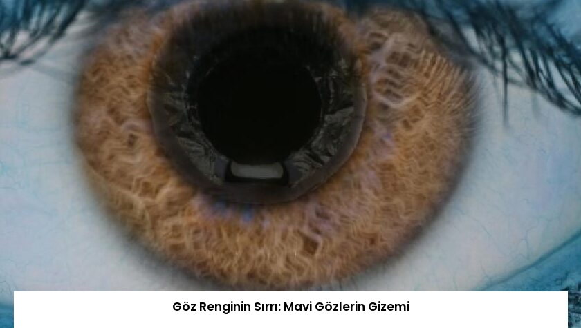 Göz Renginin Sırrı: Mavi Gözlerin Gizemi