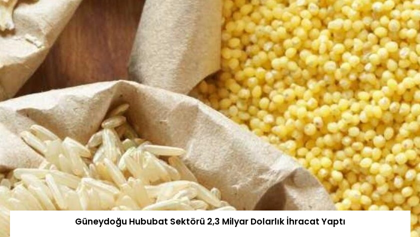 Güneydoğu Hububat Sektörü 2,3 Milyar Dolarlık İhracat Yaptı