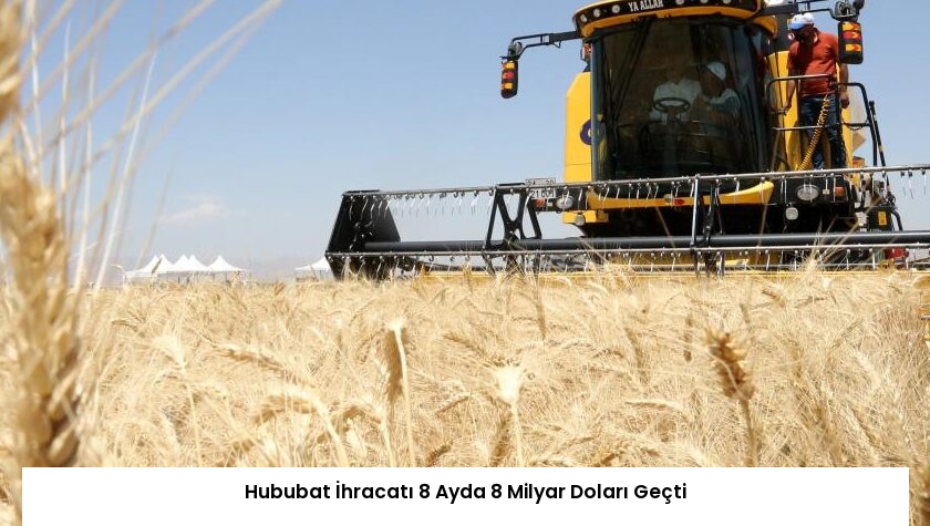 Hububat İhracatı 8 Ayda 8 Milyar Doları Geçti