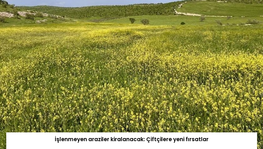 İşlenmeyen araziler kiralanacak: Çiftçilere yeni fırsatlar