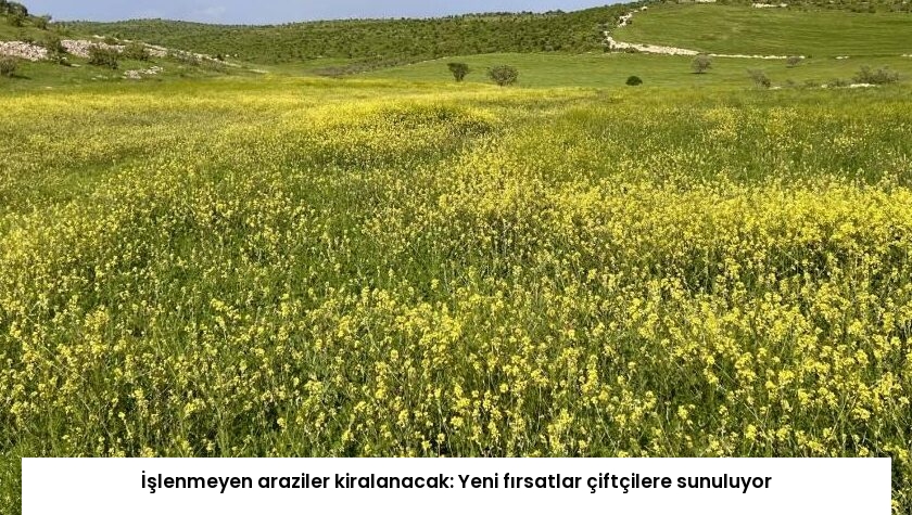 İşlenmeyen araziler kiralanacak: Yeni fırsatlar çiftçilere sunuluyor