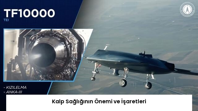 Kalp Sağlığının Önemi ve İşaretleri