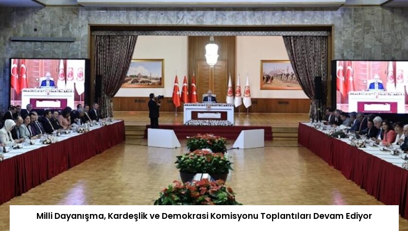 Milli Dayanışma, Kardeşlik ve Demokrasi Komisyonu Toplantıları Devam Ediyor