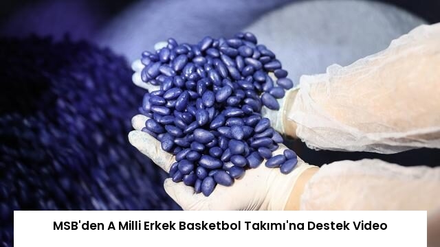 MSB’den A Milli Erkek Basketbol Takımı’na Destek Video