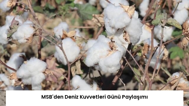 MSB’den Deniz Kuvvetleri Günü Paylaşımı