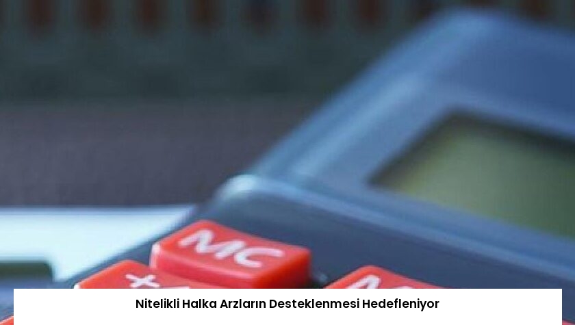 Nitelikli Halka Arzların Desteklenmesi Hedefleniyor