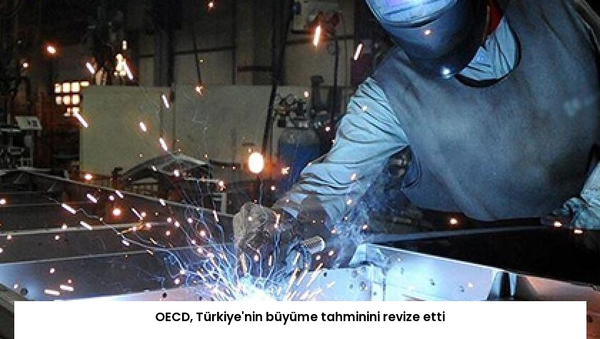 OECD, Türkiye’nin büyüme tahminini revize etti